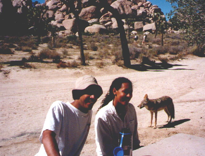 chillbill, turtle and the locals at joshua tree