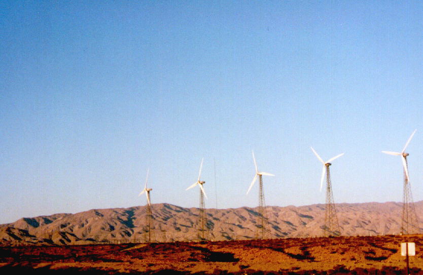 the windmills